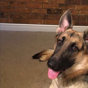 Meet your Posher, James